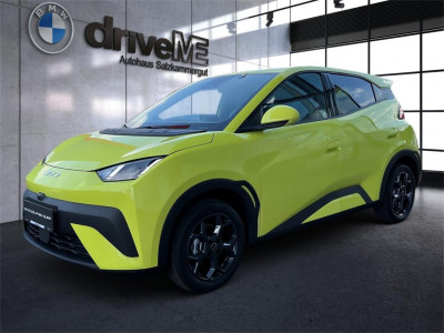 BYD Dolphin Surf Neuwagen