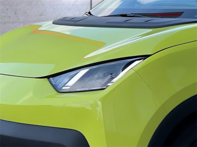 BYD Dolphin Surf Neuwagen