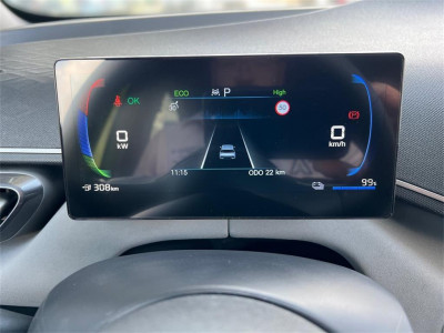 BYD Dolphin Surf Neuwagen