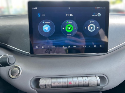 BYD Dolphin Surf Neuwagen