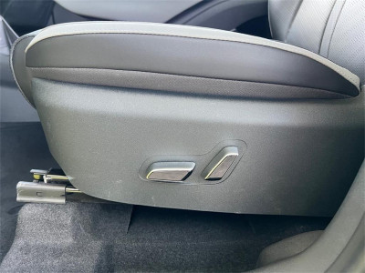 BYD Dolphin Surf Neuwagen