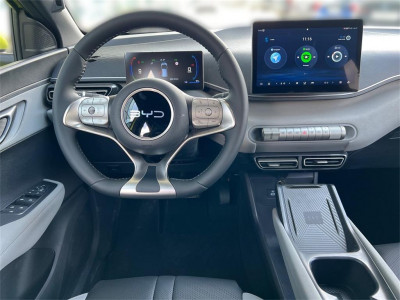 BYD Dolphin Surf Neuwagen