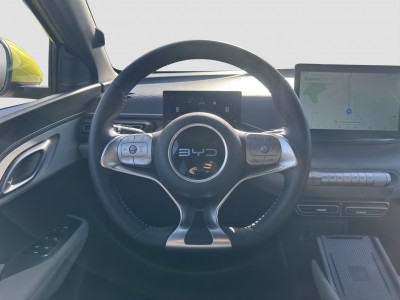 BYD Dolphin Surf Gebrauchtwagen