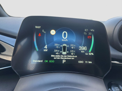 BYD Dolphin Neuwagen