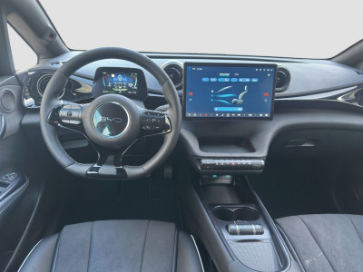 BYD Dolphin Neuwagen