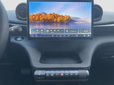 BYD Dolphin Neuwagen