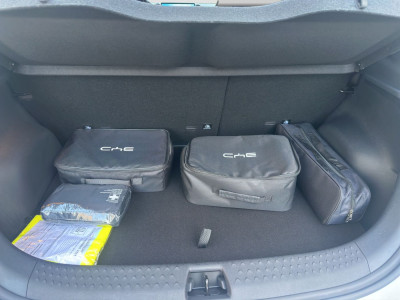 BYD Dolphin Neuwagen