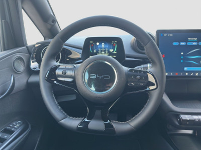 BYD Dolphin Neuwagen