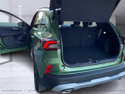 Ford Kuga Neuwagen