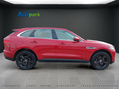 Jaguar F-Pace Gebrauchtwagen