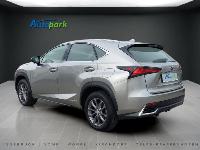 Lexus NX Gebrauchtwagen