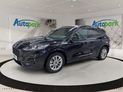 Ford Kuga Vorführwagen