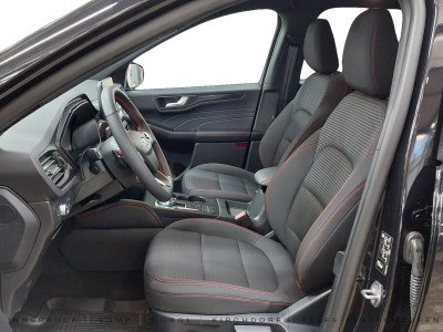 Ford Kuga Vorführwagen