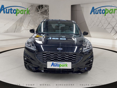 Ford Kuga Vorführwagen
