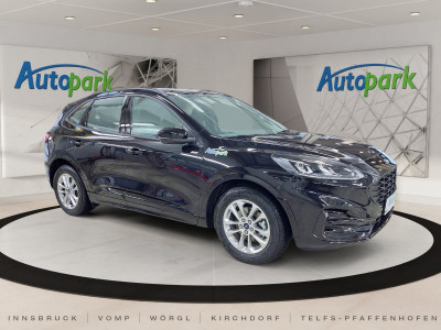 Ford Kuga Vorführwagen