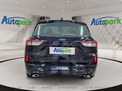 Ford Kuga Vorführwagen