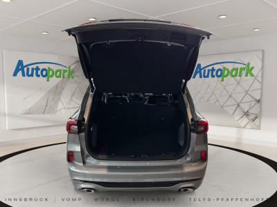 Ford Kuga Neuwagen