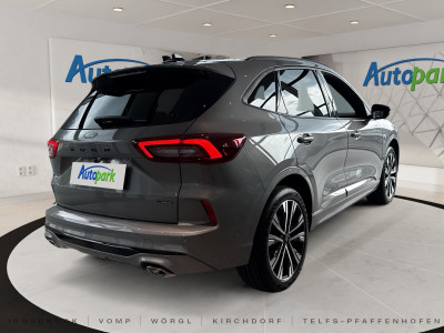 Ford Kuga Neuwagen
