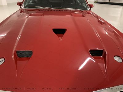 Ford Mustang Gebrauchtwagen Ford Mustang Gebrauchtwagen