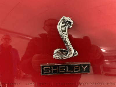 Ford Mustang Gebrauchtwagen