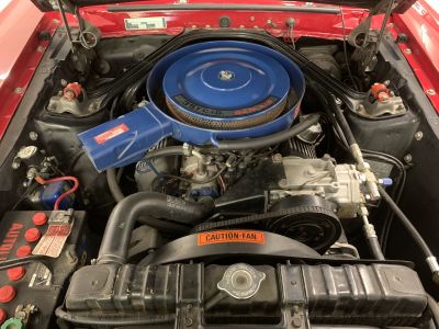 Ford Mustang Gebrauchtwagen Ford Mustang Gebrauchtwagen
