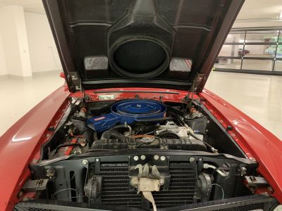 Ford Mustang Gebrauchtwagen Ford Mustang Gebrauchtwagen