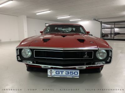 Ford Mustang Gebrauchtwagen Ford Mustang Gebrauchtwagen