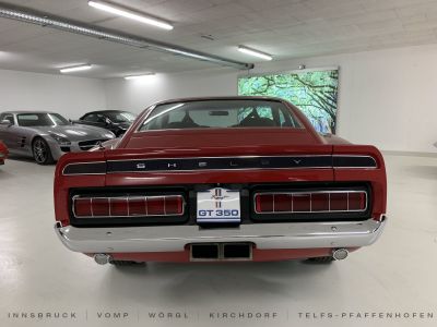 Ford Mustang Gebrauchtwagen Ford Mustang Gebrauchtwagen