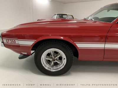 Ford Mustang Gebrauchtwagen Ford Mustang Gebrauchtwagen