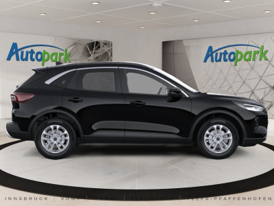 Ford Kuga Vorführwagen