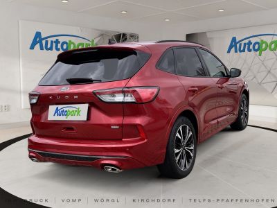 Ford Kuga Gebrauchtwagen