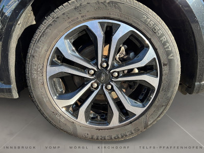 Ford Puma Gebrauchtwagen