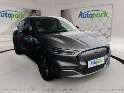 Ford Mustang Mach-E Gebrauchtwagen