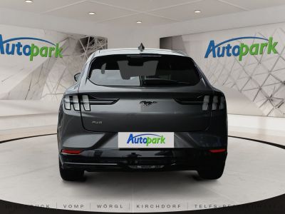 Ford Mustang Mach-E Gebrauchtwagen