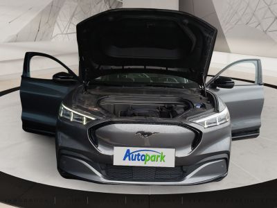 Ford Mustang Mach-E Gebrauchtwagen