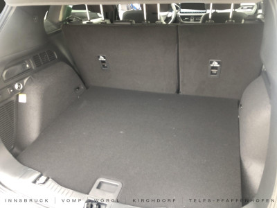 Ford Kuga Vorführwagen Ford Kuga Vorführwagen