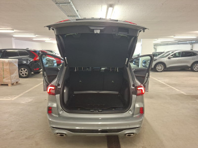 Ford Kuga Vorführwagen