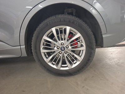 Ford Kuga Vorführwagen