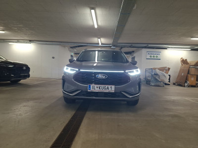 Ford Kuga Vorführwagen