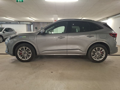 Ford Kuga Vorführwagen