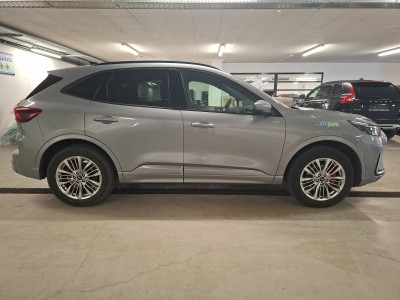 Ford Kuga Vorführwagen