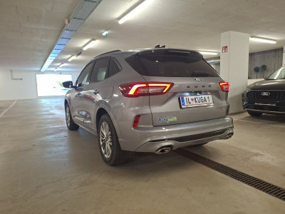 Ford Kuga Vorführwagen