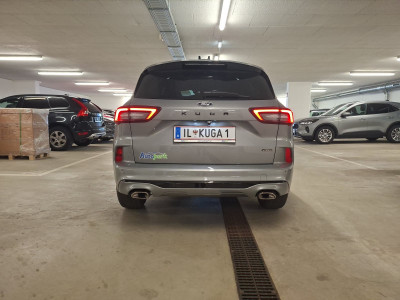 Ford Kuga Vorführwagen