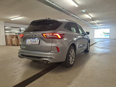 Ford Kuga Vorführwagen