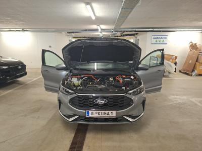 Ford Kuga Vorführwagen