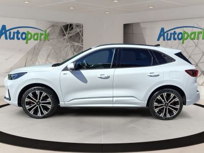 Ford Kuga Neuwagen Ford Kuga Neuwagen