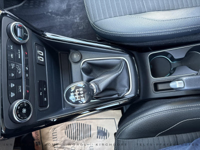 Ford EcoSport Gebrauchtwagen