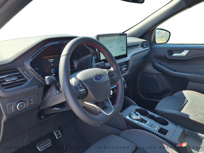 Ford Kuga Vorführwagen