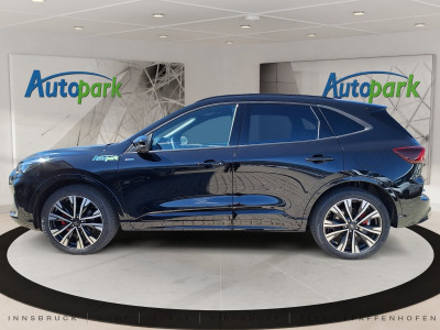 Ford Kuga Vorführwagen