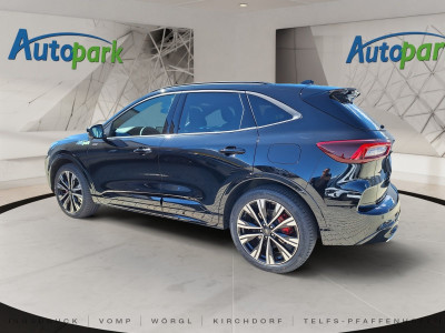 Ford Kuga Vorführwagen